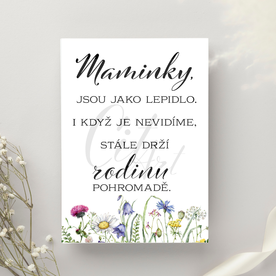 Maminky lepidlo drzi rodinu